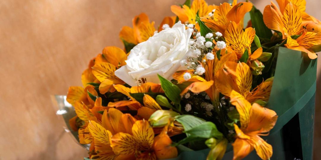 banner-astromelias-kero-flor-2