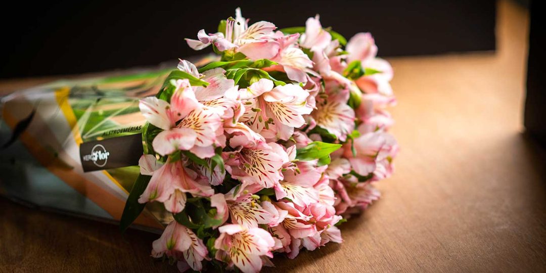 banner-astromelias-kero-flor-3