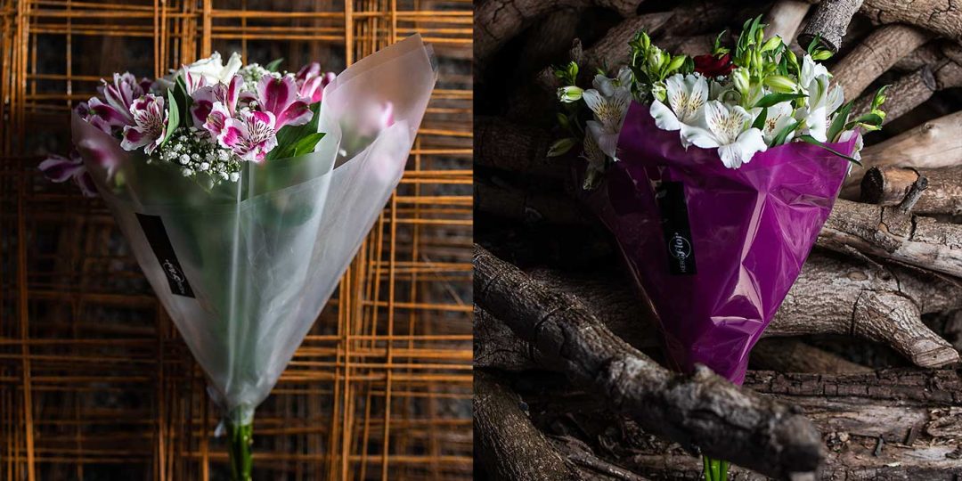 banner-astromelias-kero-flor-4