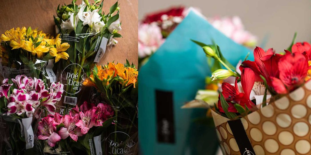 banner-astromelias-kero-flor-6