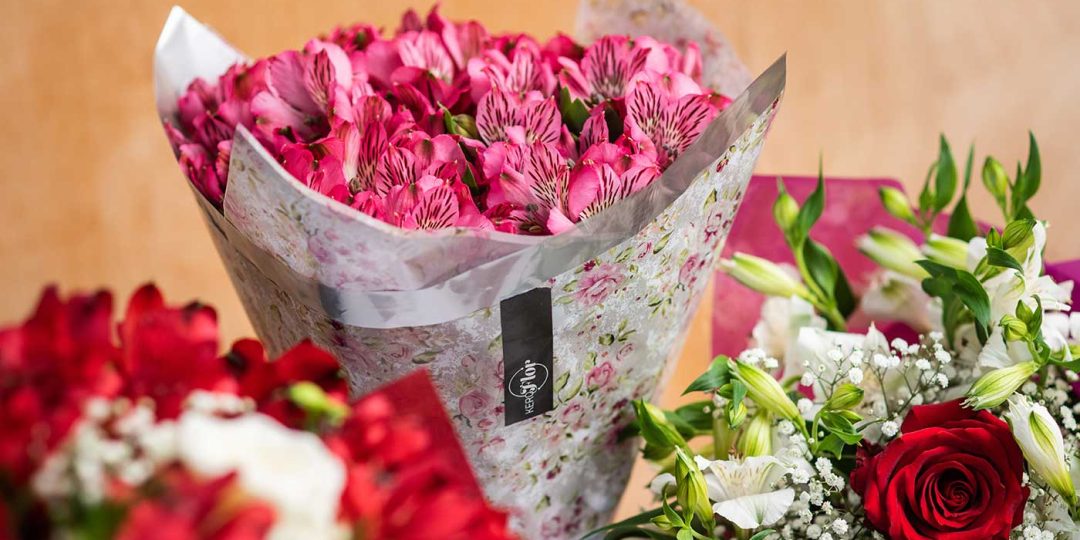 banner-astromelias-kero-flor-7